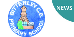 Bitterley C.E. Primary School utilised GROVETECH for IT Support